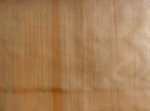 CHASE ERWIN COMUS FABRIC